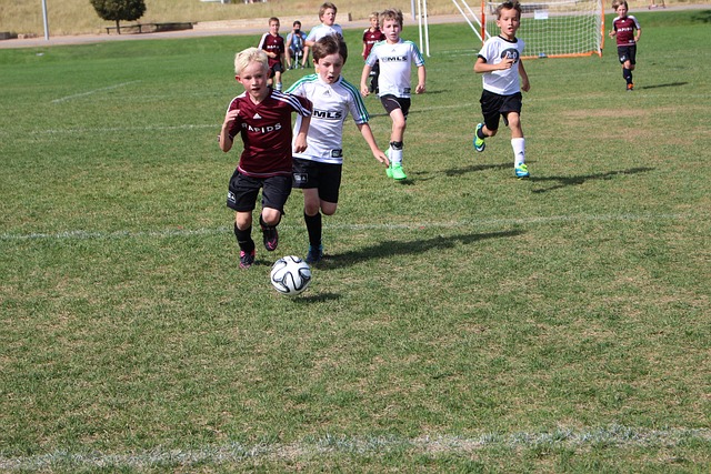 德甲半场：布兰特破门，吉拉西倒地未判点，多特1-0霍芬海姆